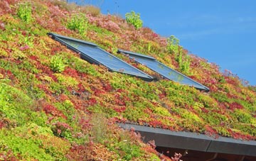 The Ling living roof systems